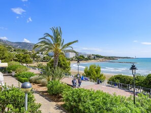 Ciel, L'Eau, Plante, Nuage, Paysage Naturel, Arecales, Arbre, Cotiers Et Relief Océaniques, Plage, Loisir