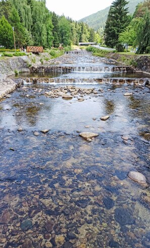 Wasser, Wasservorräte, Wasserlauf, Strom, \"Fels, Bank, Fluss, Auwald