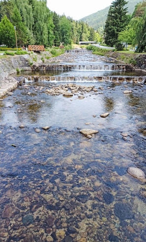 L'Eau, Ressources En Eau, Cours D'Eau, Courant, Roche, Banque, Rivière, Riparienne