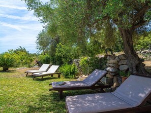 Plant, Furniture, Outdoor Bench, Botany, Shade, Outdoor Furniture, Tree, Sky, Comfort, Cloud