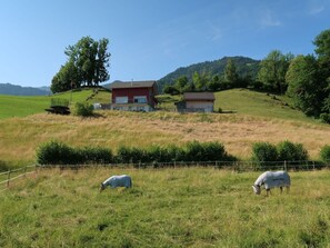 Pflanze, Himmel, Pflanzengemeinschaft, Baum, Natürliche Landschaft, Gebäude, Berg, Haus, Gras, Wiese