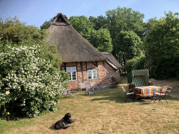 Building, Plant, Property, Sky, Window, House, Natural Landscape, Tree, Land Lot, Thatching