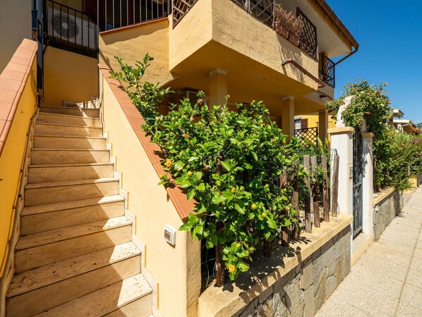 Plante, Propriété, Bâtiment, Feuille, Bois, Design Urbain, Ombre, Mur, Ciel, Zone Résidentielle