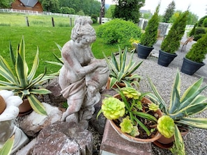 Pflanze, Blatt, Ast, Terrestrische Plant, Arecales, Vegetation, Baum, Zweig, Kofferraum, Gehölz