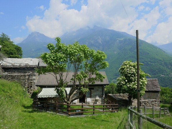 Cloud, Plant, Sky, Building, Daytime, Property, Window, Tree, House, Land Lot