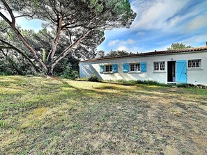 Building, Sky, Plant, Cloud, Window, Tree, Natural Landscape, Land Lot, House, Slope