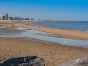 Wasser, Himmel, Wasservorräte, Ökoregion, Azurblau, Strand, Küsten Und Ozeanische Forms, Holz, Horizont, Wind Wave