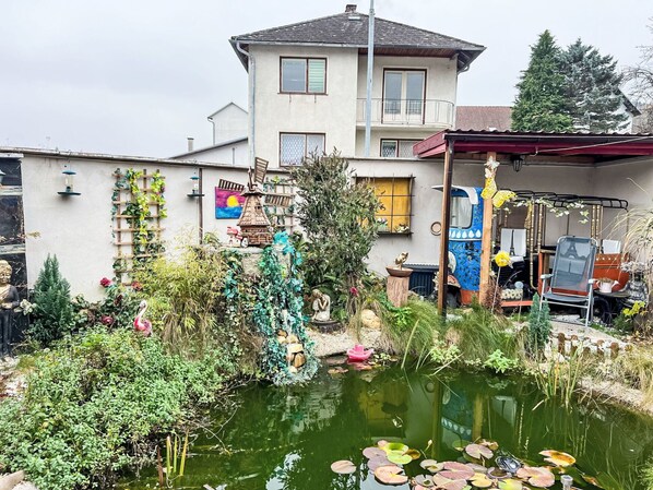 Plante, Fleur, L'Eau, Propriété, Fenêtre, Ciel, Bâtiment, Botanique, Maison, Quartier