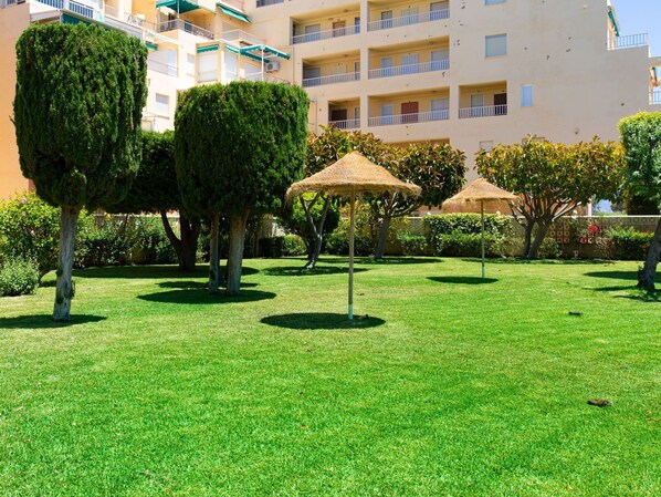 Plant, Property, Building, Green, Nature, Window, Botany, Tree, Land Lot, Vegetation