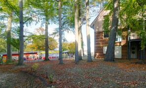 Plante, Arbre, Branche, Bâtiment, Lot Terre, Paysage Naturel, À Feuilles Caduques, Herbe, Surface De La Route, Ombre
