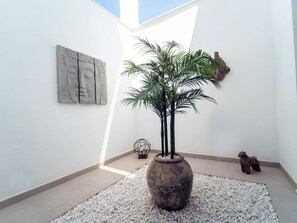 Pflanze, Eigentum, Gebäude, Blumentopf, Holz, Interior Design, Zimmerpflanze, Baum, Fussboden