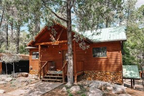 Nature's embrace: Pine-framed front view of cozy cabin retreat.