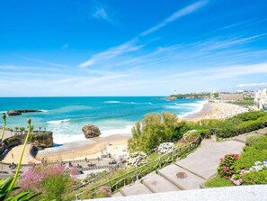 Ciel, Nuage, Plante, L'Eau, Bleu, Cotiers Et Relief Océaniques, Arbre, Plage, Paysage, Loisir