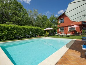 Fleur, Plante, Meubles, Propriété, Fenêtre, Bâtiment, Vert, Chaise, Table, Ciel