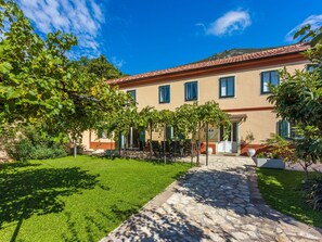 Cloud, Plant, Building, Sky, Window, Blue, House, Land Lot, Tree, Road Surface