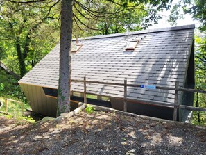 Propriété, Bâtiment, Plante, Arbre, Bois, Maison, Herbe, Siding, Paysage Naturel, Chalet