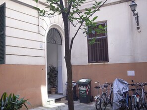 Vélo, Roue, Plante, Bâtiment, Fenêtre, Roue De Bicyclette, Véhicule, Quartier