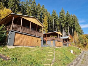 Pflanze, Himmel, Gebäude, Baum, Holz, Grundstueck, Haus, Hütte, Fenster, Natürliche Landschaft