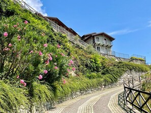 Blume, Himmel, Pflanze, Gebäude, Wolke, Haus, Vegetation, Steigung, Wand, Gras
