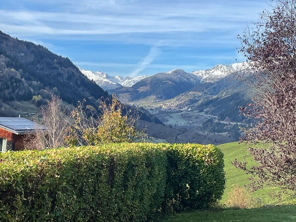 Wasser, Himmel, Eigentum, Pflanze, Baum, Schwimmbad, Azurblau, Schatten, Arecales, Freizeit