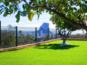 Water, Sky, Property, Plant, Tree, Swimming Pool, Azure, Shade, Arecales, Leisure