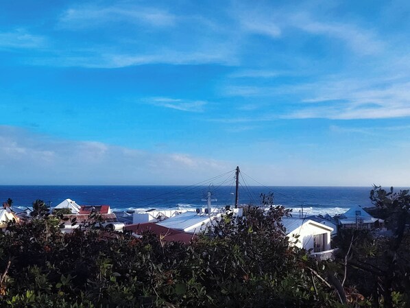 Beach/ocean view
