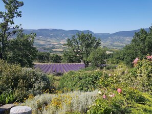 Oklassificerad bild, 3 av 6, knapp