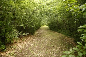 Boendeområde