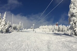 Snow and ski sports