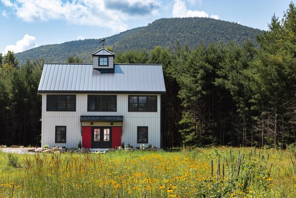 Welcome to the Gray Barn Getaway! Natural field with wildflowers in season.