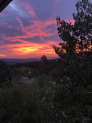 Vista desde la propiedad