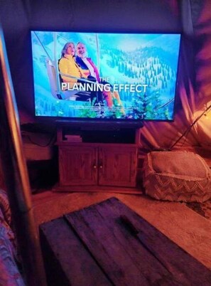 Television