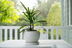 Terrasse/gårdhave