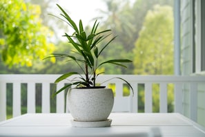 Terrasse/gårdhave