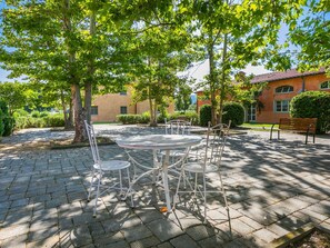 Plant, Building, Window, Road Surface, Tree, Table, Shade, Asphalt, Land Lot, Urban Design
