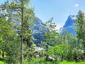 Mountainous Landforms, Tree, Green, Nature, Mountain, Vegetation, Mountain Range, Highland, Hill, Hill Station