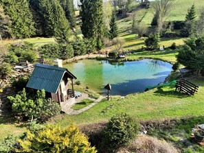 Plant, Water, Water Resources, Natural Landscape, Tree, Land Lot, Body Of Water, Watercourse, House, Leisure