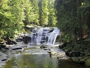 Wasser, Pflanze, Natürliche Landschaft, Natürlichen Umgebung, Wasserfall, Frühling, Baum, Auwald, Rutsche