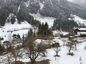 Snow, Mountain, Plant, Natural Landscape, Tree, Slope, Larch, Biome, Atmospheric Phenomenon, Evergreen