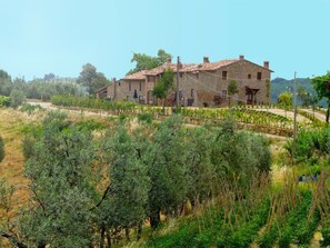 Pianta, Cielo, Comunita 'Impianto, Costruzione, Paesaggio Naturale, Albero, Vegetazione, Lotto, Finestra, Erba