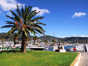 Cloud, Sky, Plant, Arecales, Shade, Tree, Coastal And Oceanic Landforms, Leisure, Terrestrial Plant, Boat