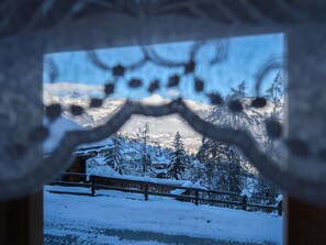 Wasser, Fenster, Welt, Pflanze, Ast, Schnee, Zweig, Wolke, Baum, Holz