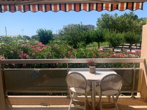 Flower, Plant, Building, Property, Furniture, Table, Sky, Chair, Botany, Window