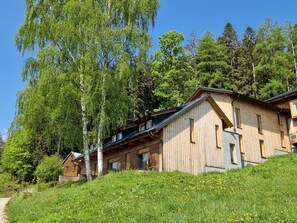 Plant, Building, Sky, Tree, Natural Landscape, Window, Land Lot, House, Grass, Rural Area