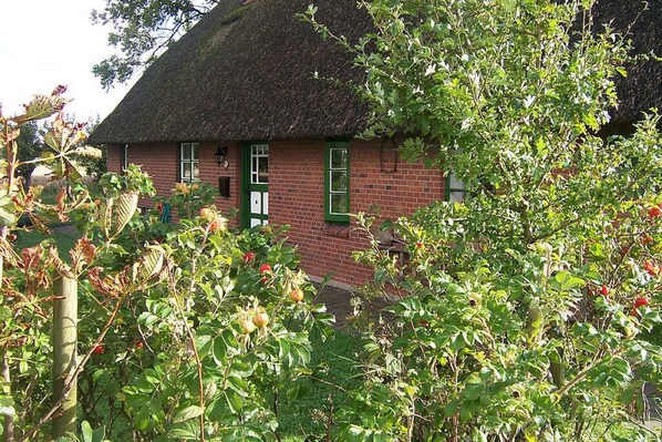 Holiday Home Exterior [summer]