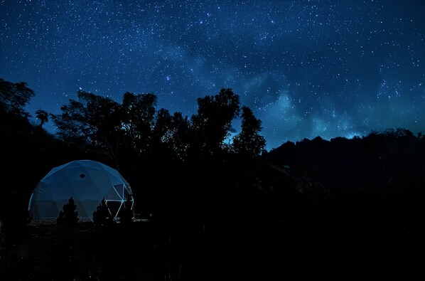 Ever dreamt of sleeping under a sky like this? At Zen Zion Evergreen Dome, you can! Imagine stargazing from your unique dome home, then exploring Zion National Park (just 30 mins. away). It's an adventure you won't forget!