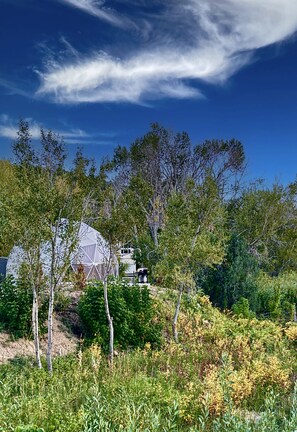 Tucked into the trees, the River Dome offers relaxation and beauty!