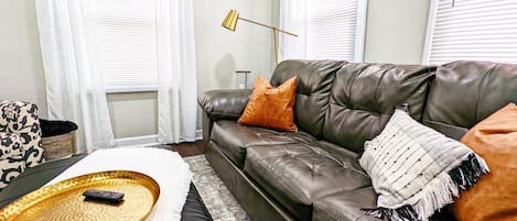 Comfy Living room Sleeper Sofa