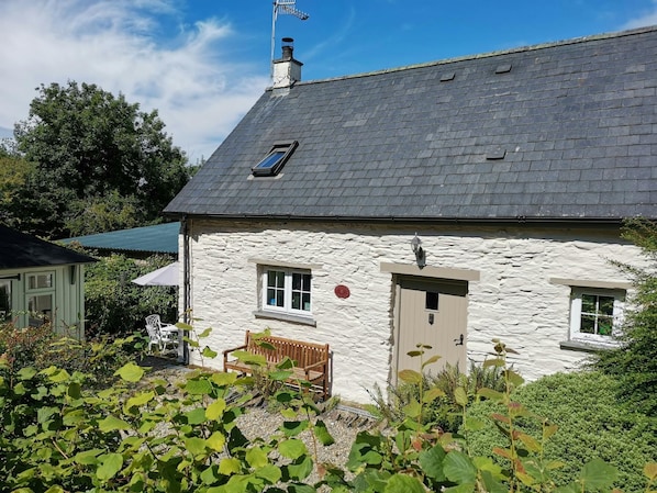 The area outside of Blaenfforest Granary, with dog in the driveway