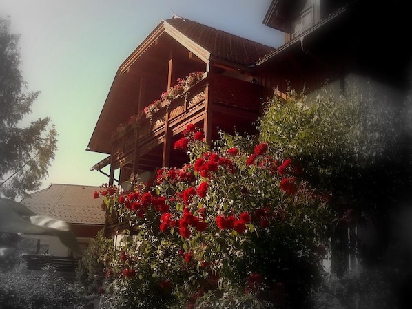 Fischerhaus